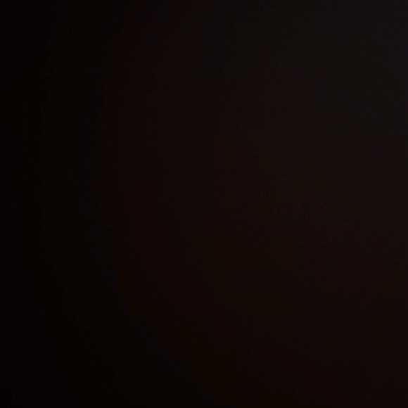 Meet your Posher, Jacob - Picture 1 of 1